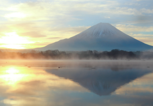 新年のご挨拶